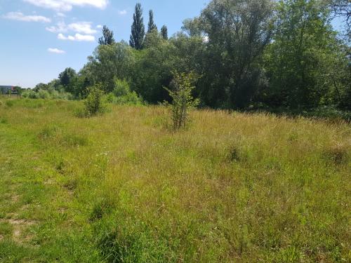 Vor dem ersten Schnitt