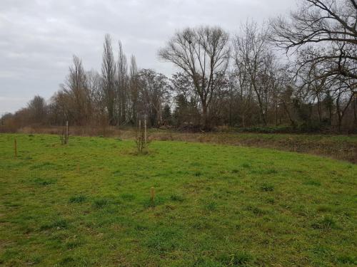 Nach dem einheitlichen Pflegeschnitt im Herbst 2020