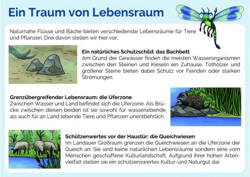 Sammelmappe_Seite_03