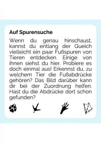 Sammelmappe_Seite_05