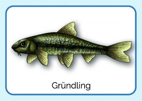 Sammelmappe_Seite_07