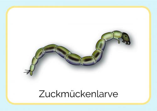 Sammelmappe_Seite_08