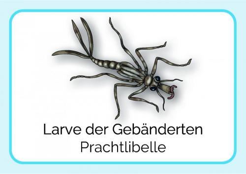 Sammelmappe_Seite_10