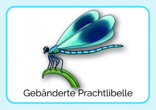 Sammelmappe_Seite_11