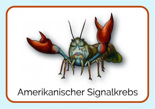 Sammelmappe_Seite_12