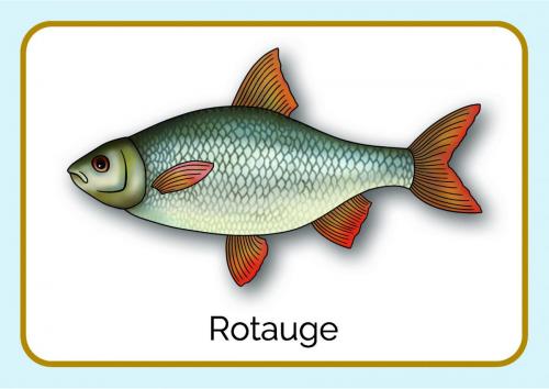 Sammelmappe_Seite_15