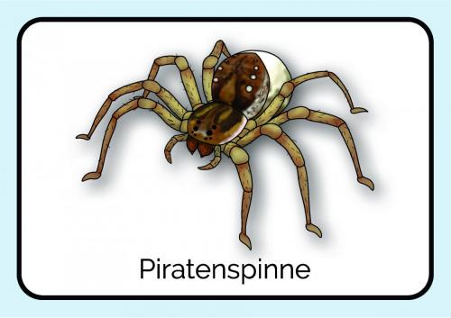 Sammelmappe_Seite_16