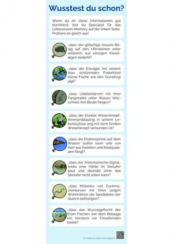 Sammelmappe_Seite_22