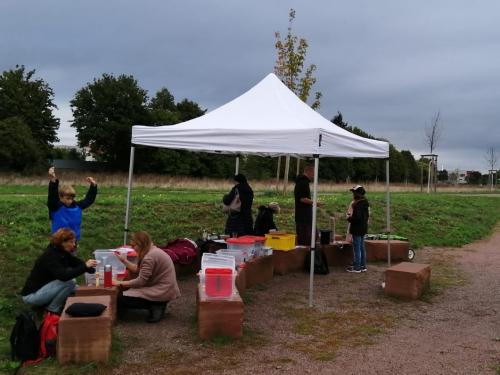 WhatsApp Image 2019-10-01 at 11.33.21