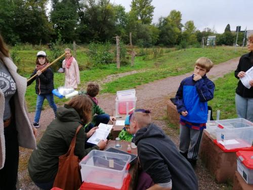 WhatsApp Image 2019-10-01 at 11.33.22