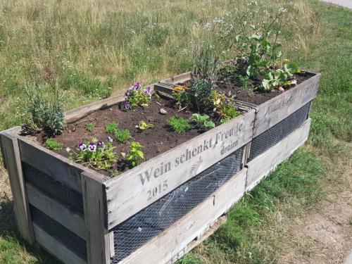 Kasten 4 zum Bepflanzen