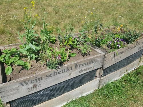 Kasten 3 zum Bepflanzen